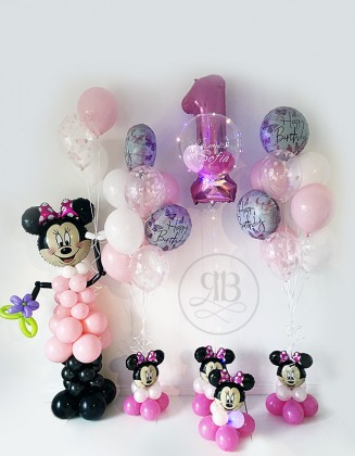 Minnie/ Mickey Package for...